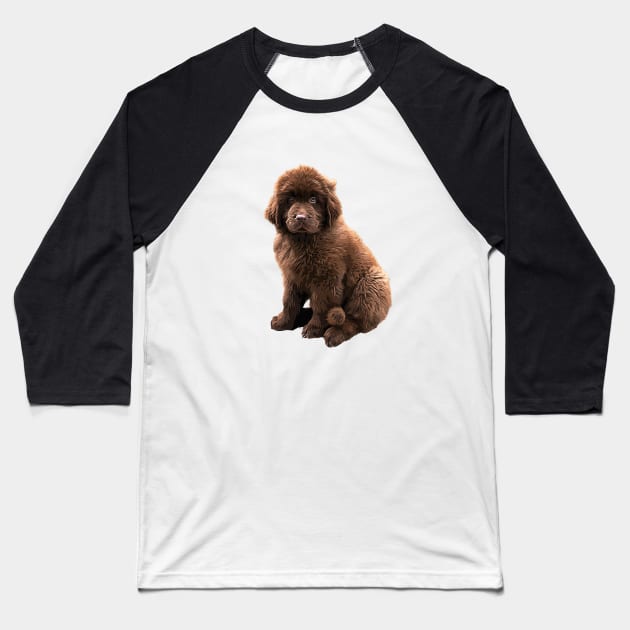 Newfoundland Chocolate Brown Puppy Dog Baseball T-Shirt by ElegantCat